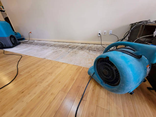 Professional Structural Drying technician working in Colfax, LA